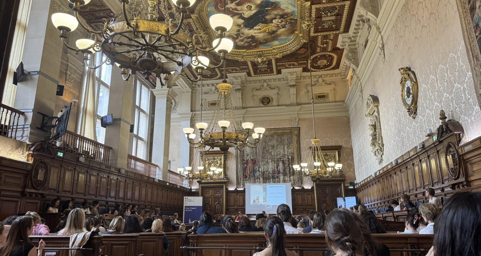 Seminar on minors’ prostitution networks in France, Court of Appeal, Paris, 4 June 2026