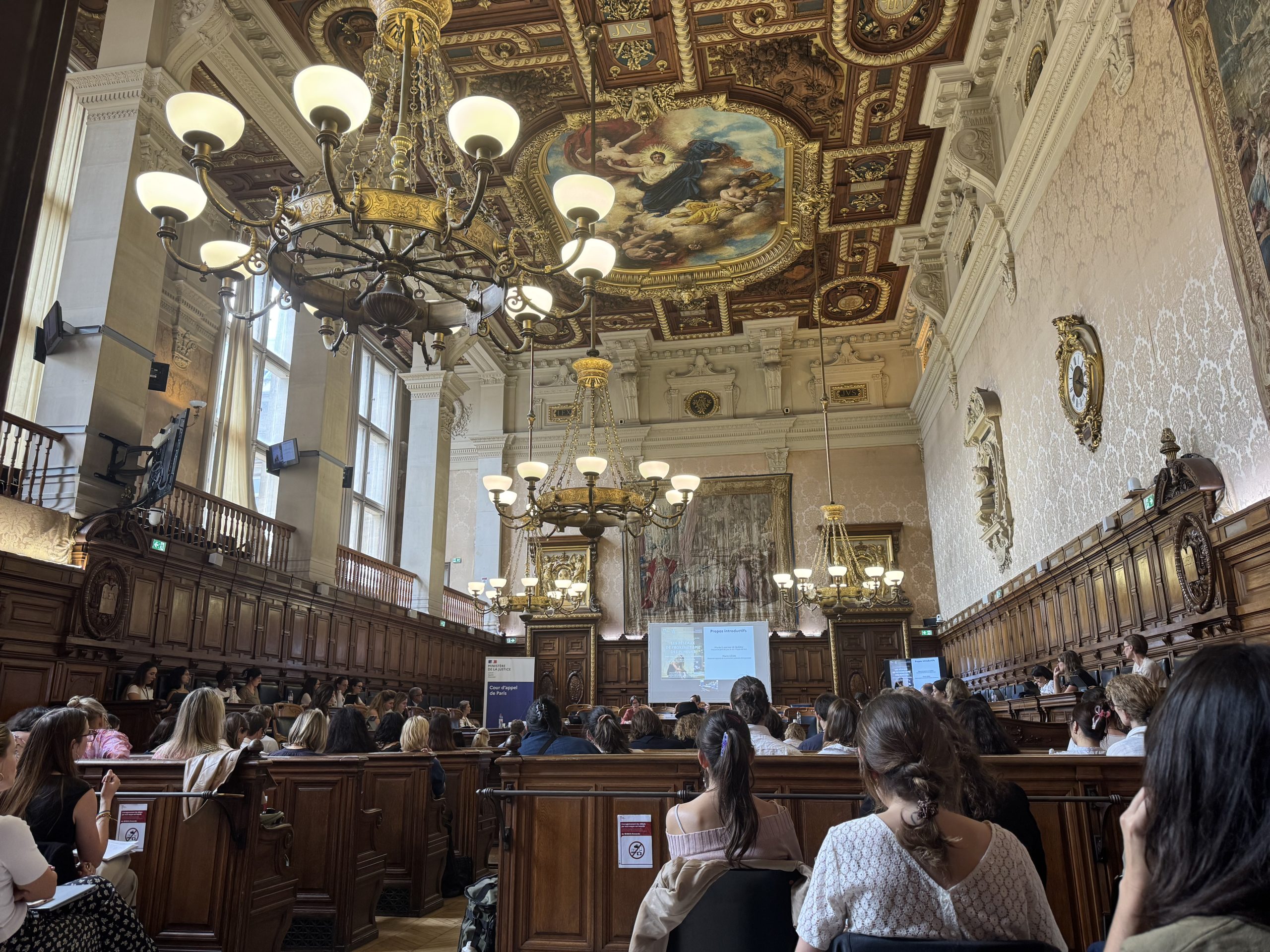 Seminar on minors’ prostitution networks in France, Court of Appeal, Paris, 4 June 2026